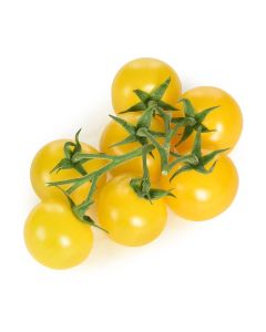 Tomato Cherry Yellow  