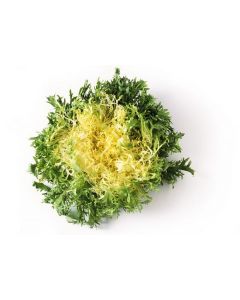 LETTUCE FRISEE YELLOW KG